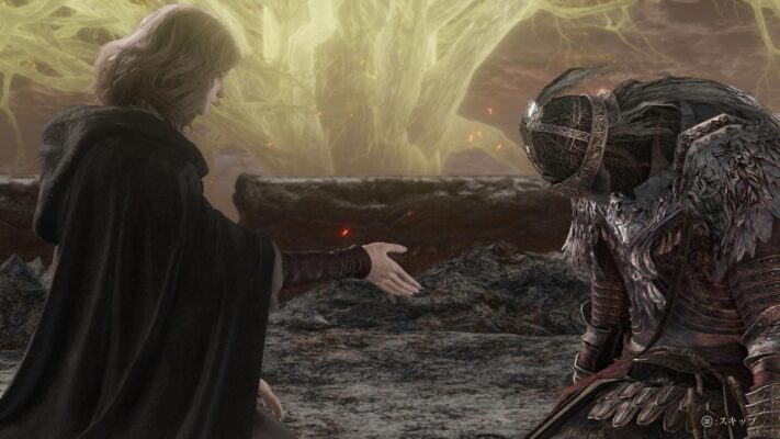 elden ring tarnished edition